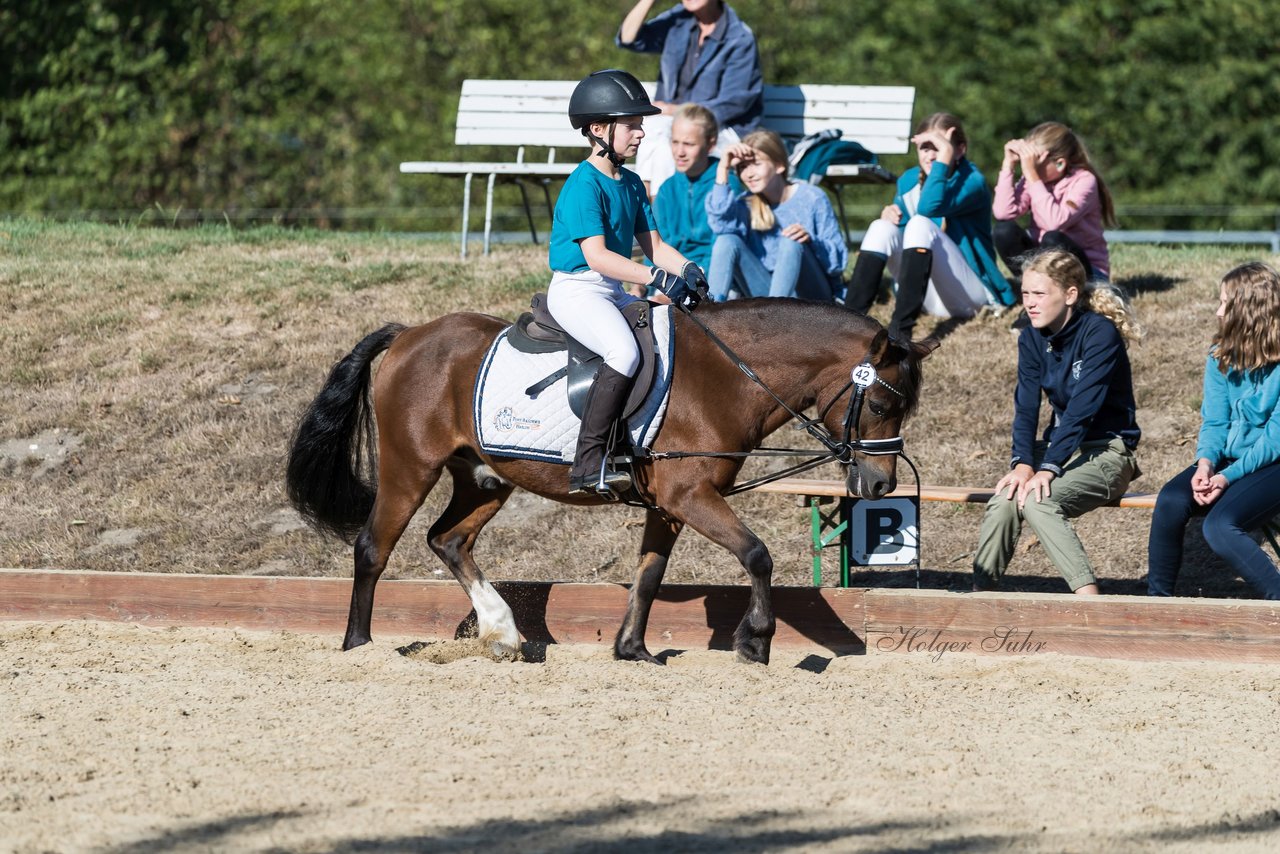 Bild 37 - Pony Akademie Turnier